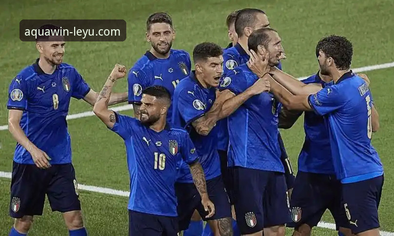 乐鱼体育怎么样评测 从意大利出局到平台体验:一次关于“乐鱼体育怎么样评测”的深度探索指南