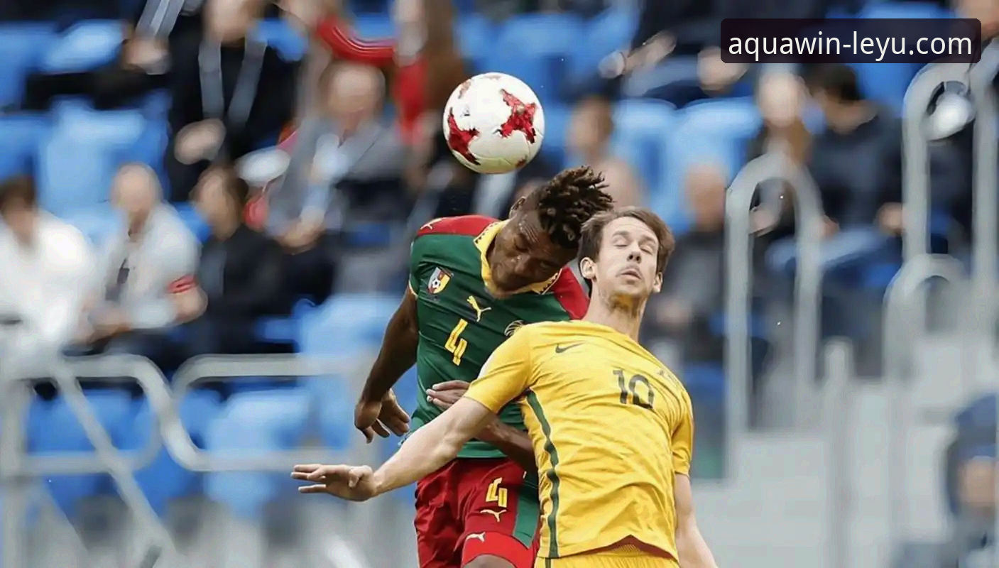 通过乐鱼体育平台深度解析：民主刚果52年重返世界杯的实用指南